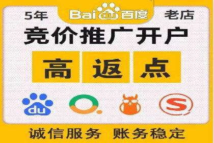 SEM推广实战：成功案例剖析